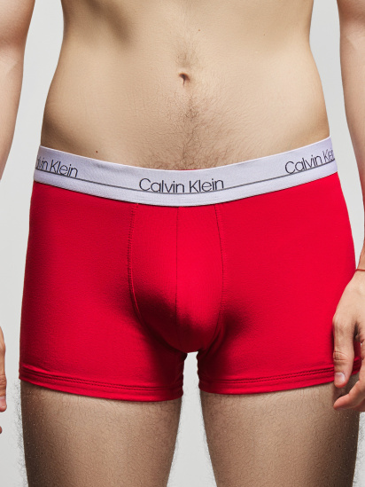 Трусы Calvin Klein Underwear модель NB2336A_WBR_0041 — фото - INTERTOP