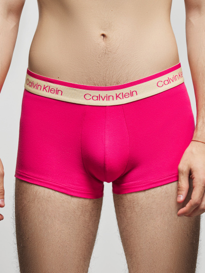 Труси Calvin Klein Underwear модель NB2206A_FCP_0041 — фото - INTERTOP