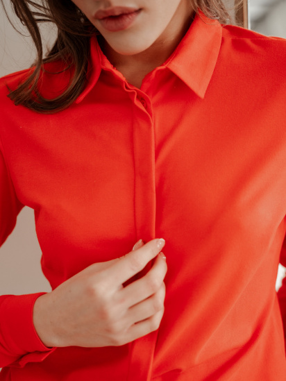 Блуза Promin модель 2023-06_220 — фото - INTERTOP