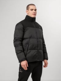 Чорний - Зимова куртка 4F New Perspective