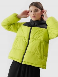 Зелёный - Зимняя куртка 4F Outerwear