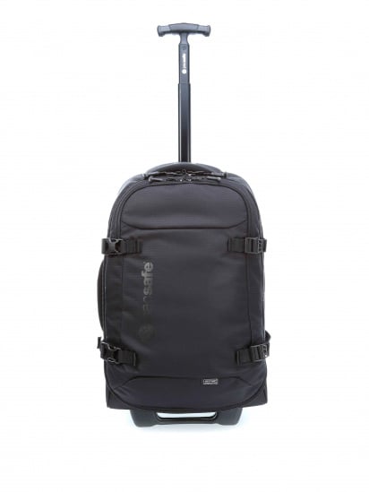 Дорожня сумка Pacsafe Toursafe AT21 модель 50100100 — фото - INTERTOP