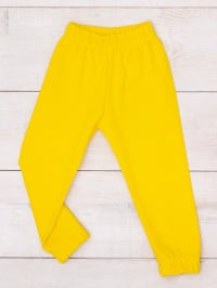 Жовтий - Штани спортивні Носи своє