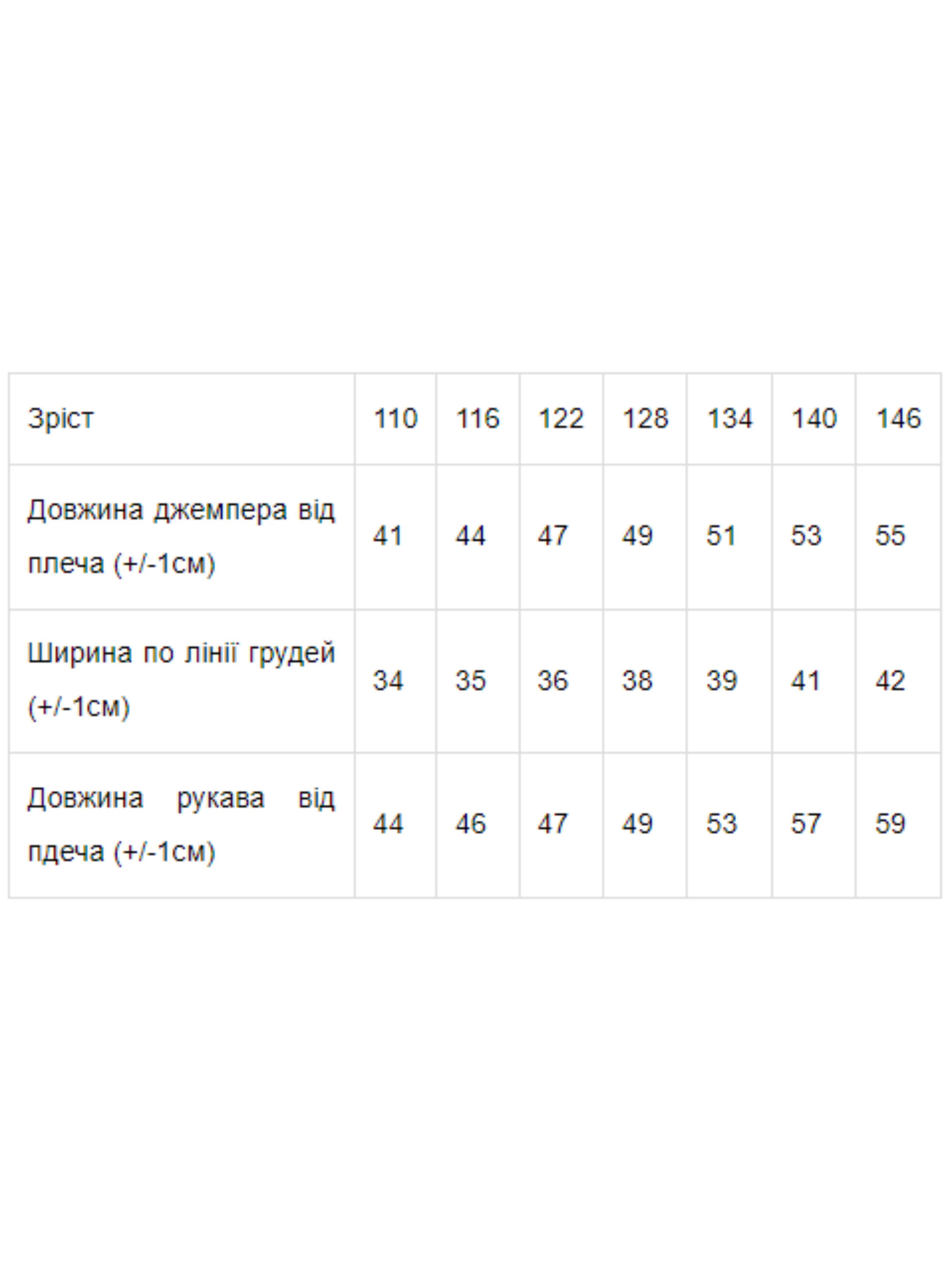 

Носи своє Худі (6157-058-sinj) Для хлопчиків, колір - Синій, матеріал - Без підкладки