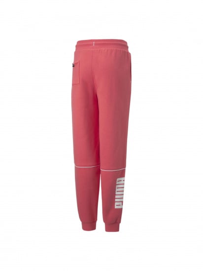 Штани спортивні PUMA Power Colorblock Pants модель 670206 — фото - INTERTOP