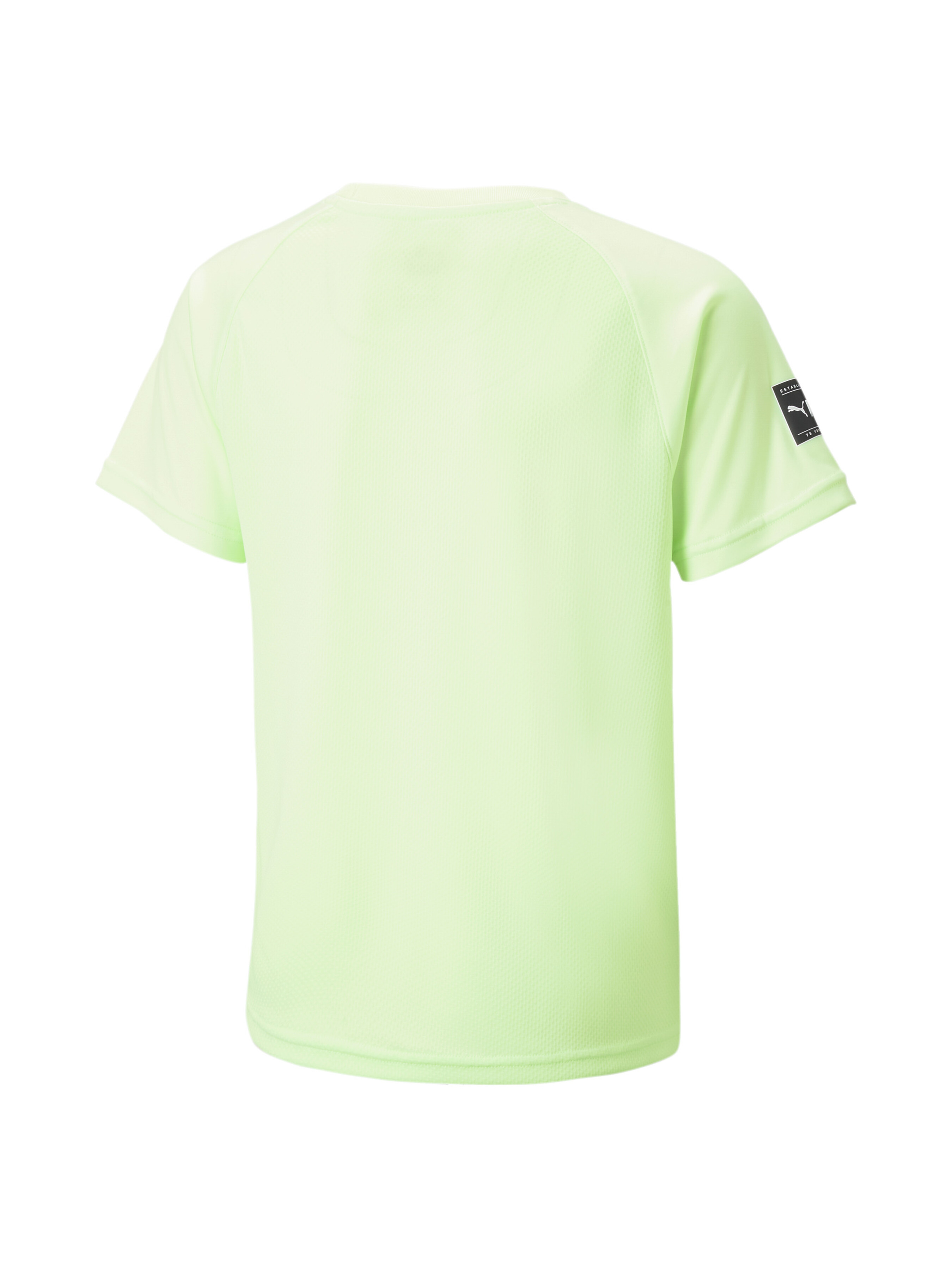 

PUMA Fit Tee Футболка спортивная (673193_34) Для мальчиков, цвет - Зелёный