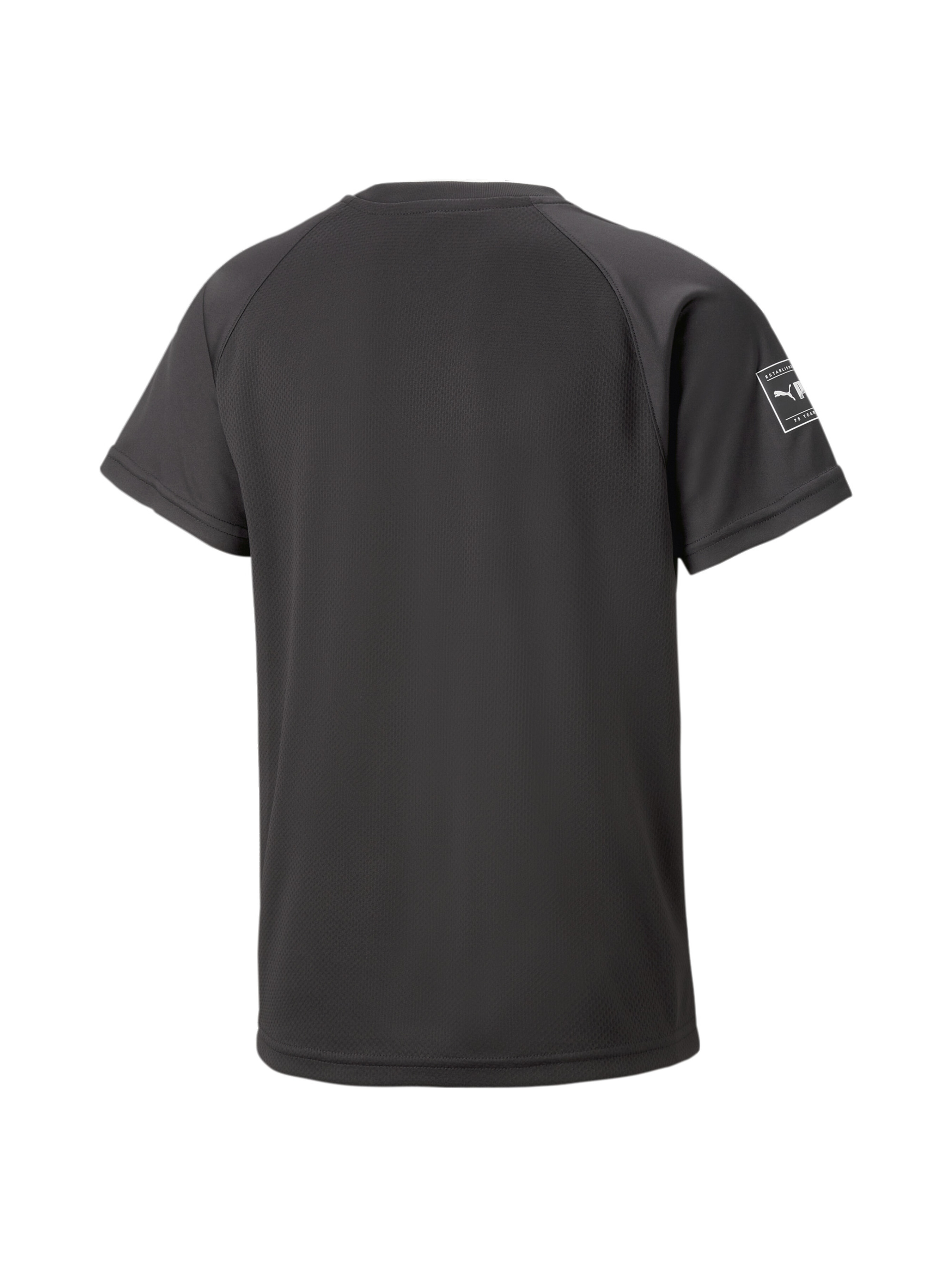 

PUMA Fit Tee Футболка (673193_51) Для мальчиков, цвет - Чёрный