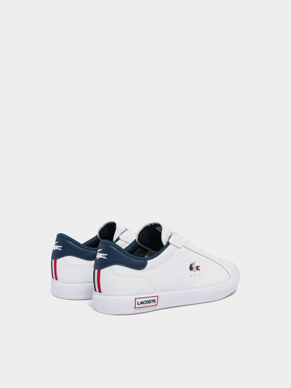 Кеди низькі Lacoste Powercourt модель 743SMA0034407 — фото 3 - INTERTOP