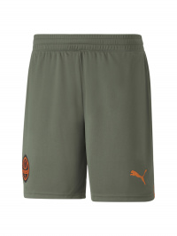 Зелёный - Шорты спортивные PUMA Fcsd Shorts Replica
