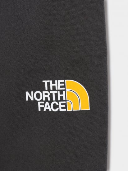 Штаны спортивные The North Face Youth Drew Peak модель NF0A492WS951 — фото 3 - INTERTOP