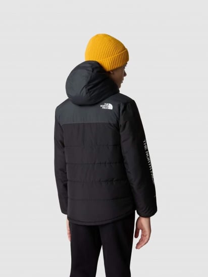 Демисезонная куртка The North Face Never Stop Synthetic модель NF0A85570C51 — фото - INTERTOP