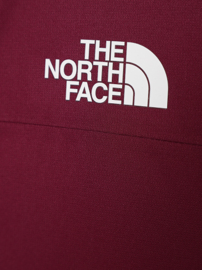 Демисезонная куртка The North Face Freedom Insulated модель NF0A82Y6I0H1 — фото 3 - INTERTOP