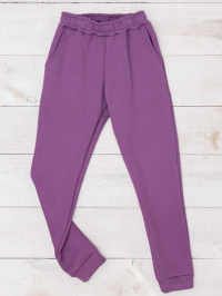 Фиолетовый - Штаны спортивные Носи своє