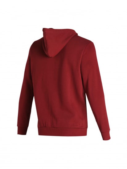 Кофта спортивна Толстовка Essentials Full-Zip Full-Length Men’s Hoodie Ess Fz Hoody Fl M модель 847242 — фото - INTERTOP