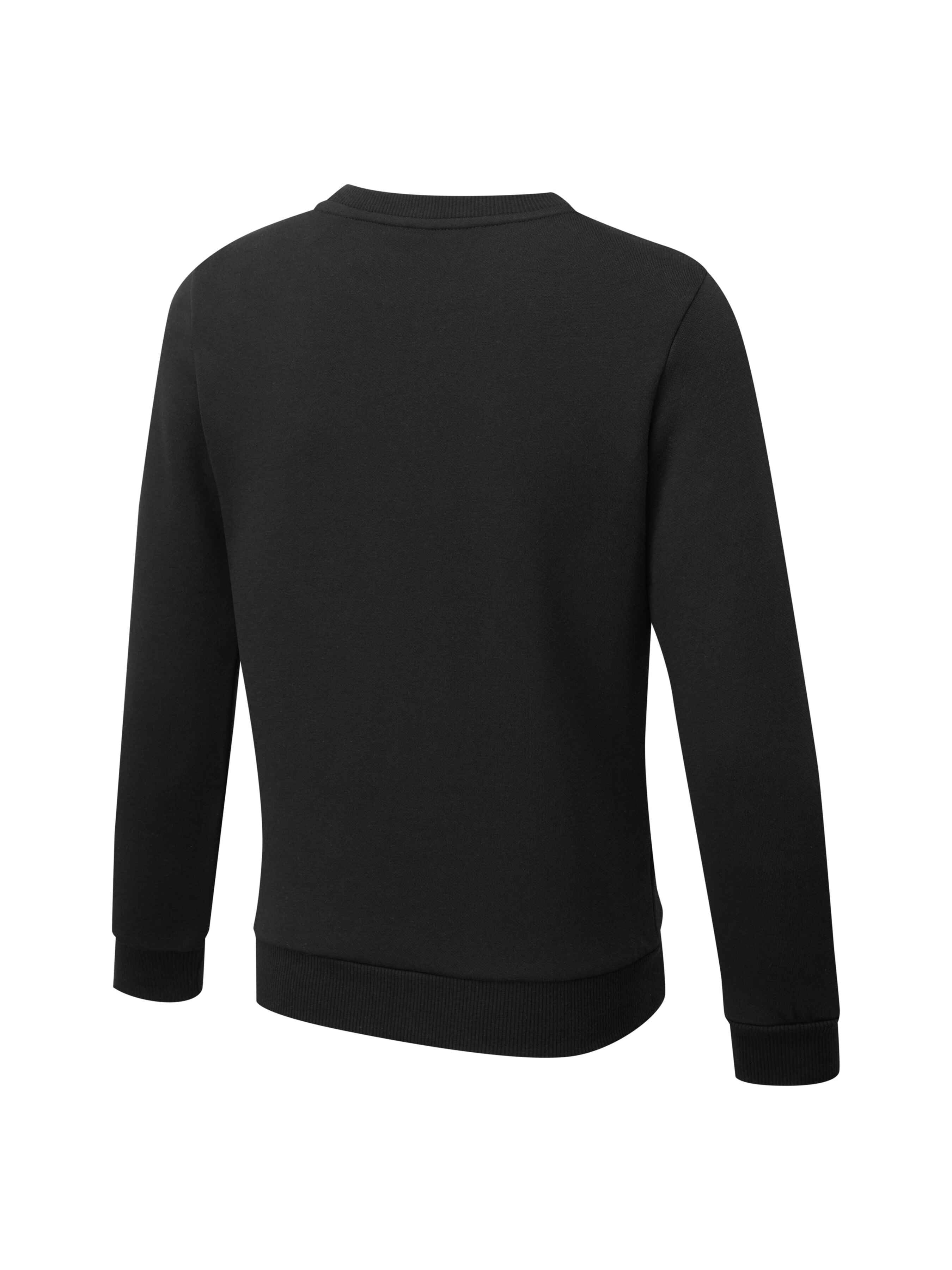 

PUMA Свитшот (847595_01) Для мальчиков, цвет - Чёрный