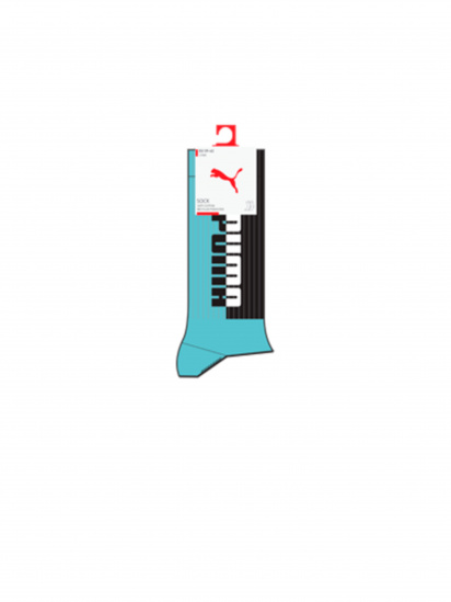 Набір шкарпеток PUMA Men Seasonal Sock 2P модель 907965 — фото - INTERTOP