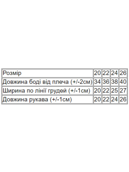 Боди для младенцев Носи своє модель 9545-023-33v-blakitnij — фото - INTERTOP