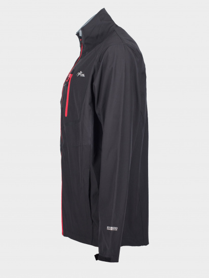 Демисезонная куртка Alpine Сrown модель ACSHJ-170243-001 — фото 3 - INTERTOP
