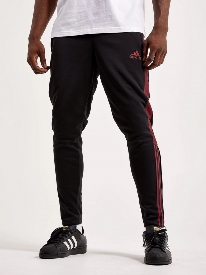 Штаны спортивные Adidas модель H59996 — фото - INTERTOP