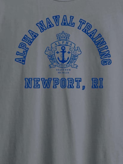 Футболка Alpha Industries Alpha Naval Base Newport Tee модель UTA54011PK_056 — фото 6 - INTERTOP