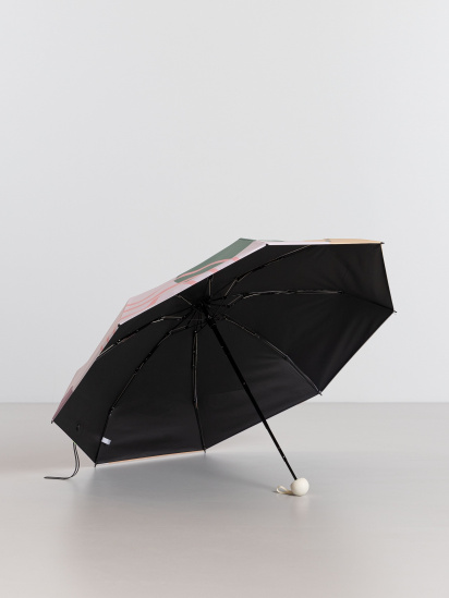 Зонты Braska модель 41-9210/304 — фото 3 - INTERTOP