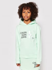 Зелёный - Худи Calvin Klein Hybrid Logo