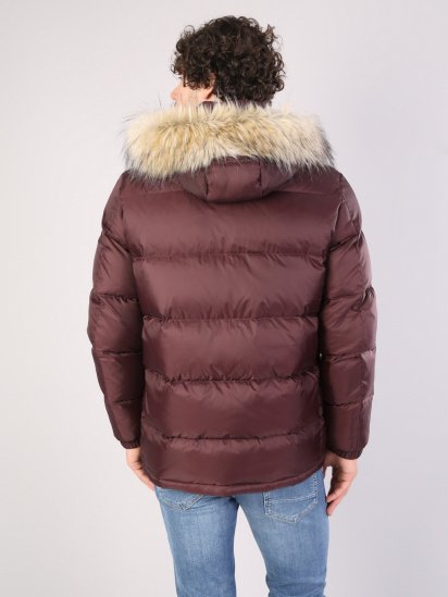 Зимова куртка Colin’s модель CL1036064BRD — фото - INTERTOP