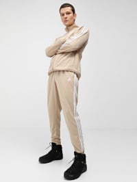 Бежевий - Спортивний костюм adidas Basic 3-Stripes
