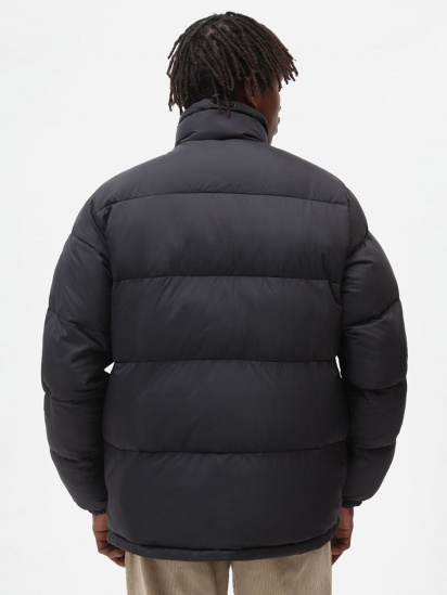 Зимняя куртка Dickies WALDENBURG модель DK0A4XP2BLK1 — фото - INTERTOP