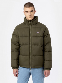 Зелёный - Зимняя куртка Dickies WALDENBURG