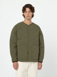 Зелёный - Демисезонная куртка Dickies Thorsby Liner