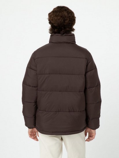 Зимова куртка Dickies WALDENBURG модель DK0A4XP2D711 — фото - INTERTOP