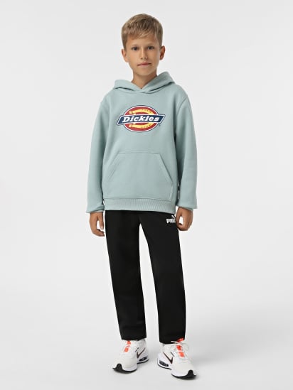 Худи Dickies Youth Logo модель DK0KWR27J591 — фото - INTERTOP