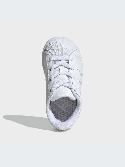 Кеды низкие adidas Superstar модель EF5397 — фото - INTERTOP