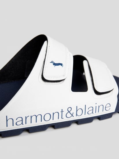 Шлепанцы Harmont&Blaine модель EFM231.140.5100 — фото 5 - INTERTOP