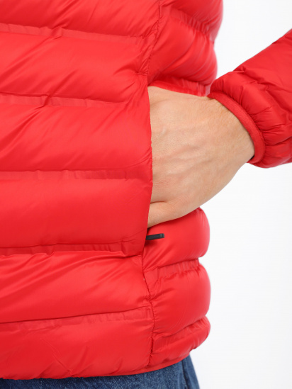 Демисезонная куртка Skechers Phantom модель MJA260M RED — фото 4 - INTERTOP