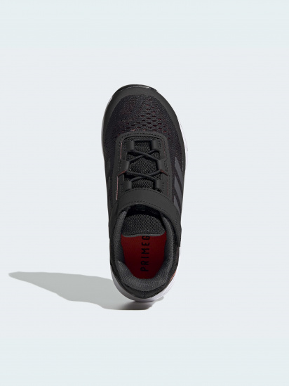 Кросівки для бігу Adidas модель FZ3319 — фото - INTERTOP