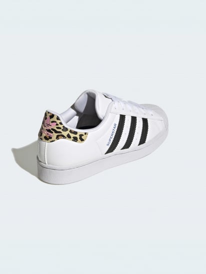 Кеды низкие Adidas Superstar модель GW4062 — фото - INTERTOP