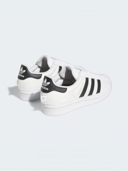 Кеды низкие adidas Superstar модель GW4066 — фото - INTERTOP