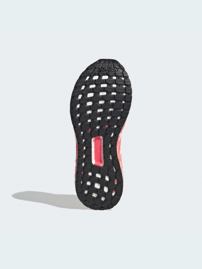 Кросівки для бігу Adidas Ultraboost модель GX6316 — фото 4 - INTERTOP