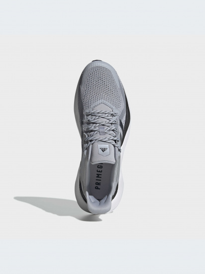 Кросівки для бігу adidas Alphabounce модель GY0594 — фото - INTERTOP