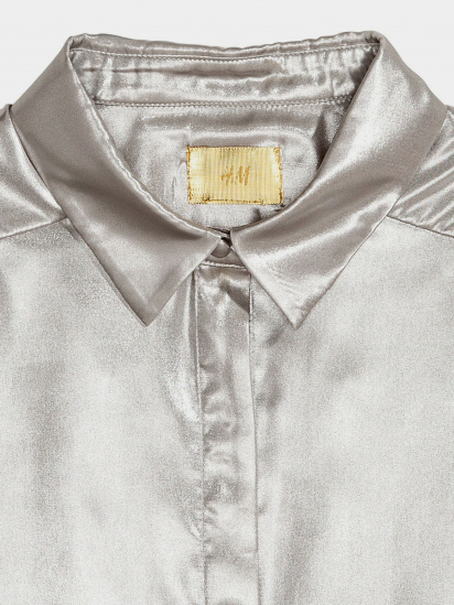 Рубашка H&M модель 0565731_срібний — фото - INTERTOP
