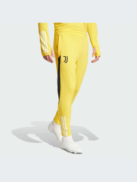 Золотой - Штаны спортивные Adidas Tiro