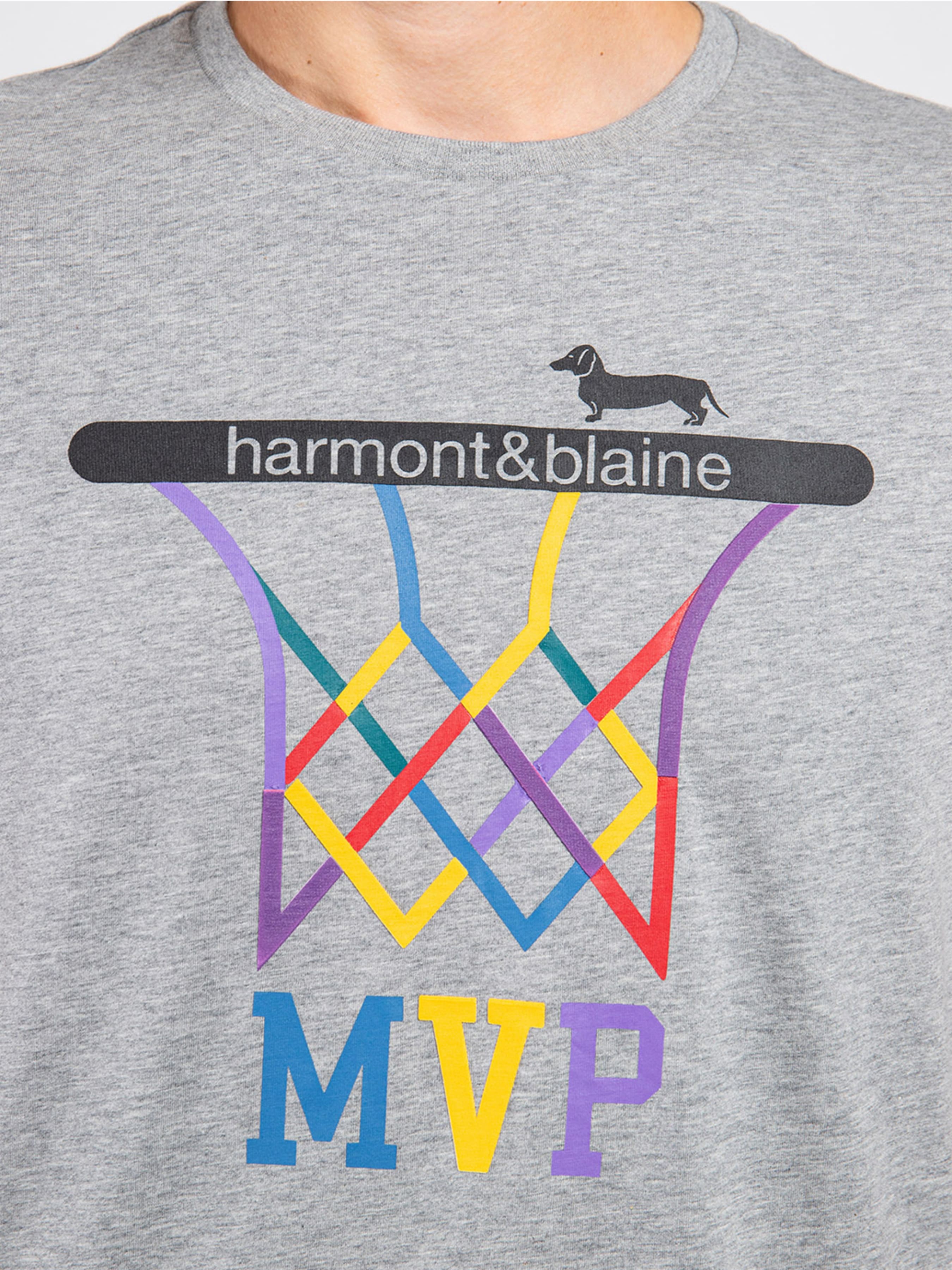 

Harmont&Blaine Футболка (IRI183021199_903) Мужское, цвет - Серый