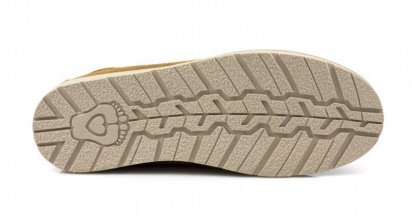 Черевики зі шнурівкою Skechers модель 34134 CSNT — фото 4 - INTERTOP