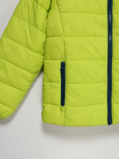 Зимняя куртка Lupilu модель IAN3015711_салатовий — фото - INTERTOP