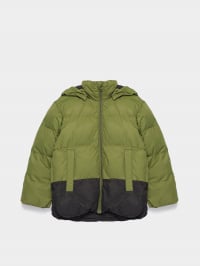 Зелёный - Зимняя куртка REIMA Teisko