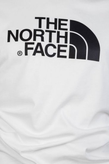 Футболки та майки The North Face M SS RAGLAN EASY TEE модель T937FVLA9 — фото - INTERTOP