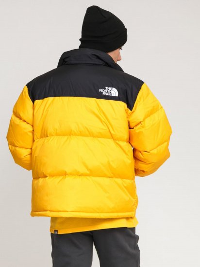 Зимняя куртка The North Face 1996 Retro Nuptse модель NF0A3C8D56P1 — фото - INTERTOP