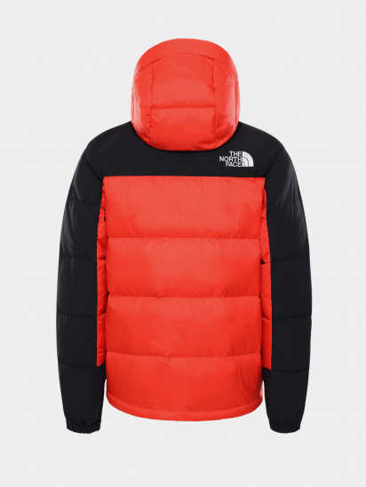 Зимняя куртка The North Face Himalayan модель NF0A4QYXR151 — фото 5 - INTERTOP